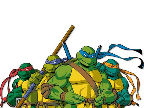 New TMNT Info