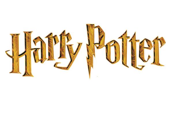 Harry Potter and the Deathly Hallows: Part 1 to be a darker game