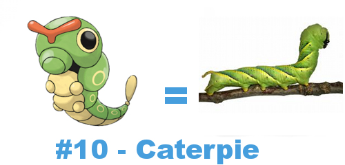 Six Pokemon that suck in real life