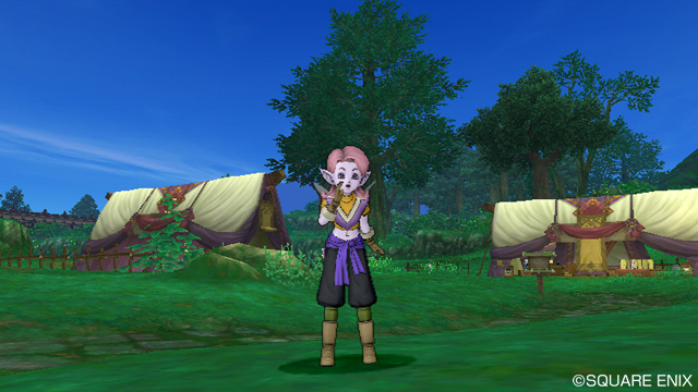 New Dragon Quest X screens