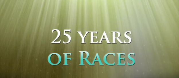 The Legend of Zelda: 25th Anniversary – 25 Years of Races