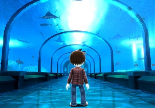 Top 5 Fish - Fishing Resort Wii - part 2 