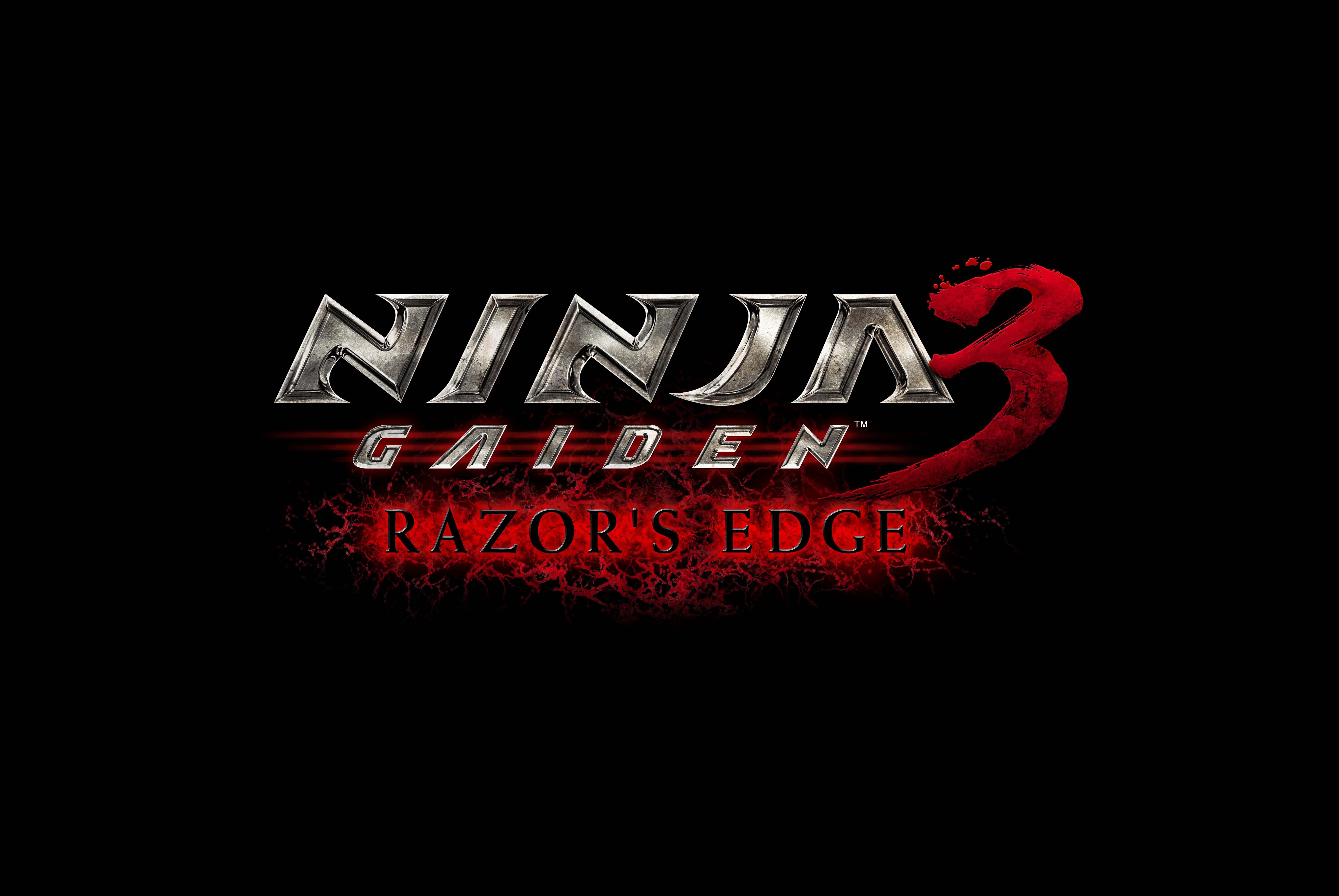 Ninja Gaiden: Screens, artwork and fact sheet
