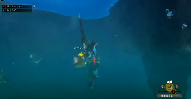 Monster Hunter 3 Ultimate Wii U footage