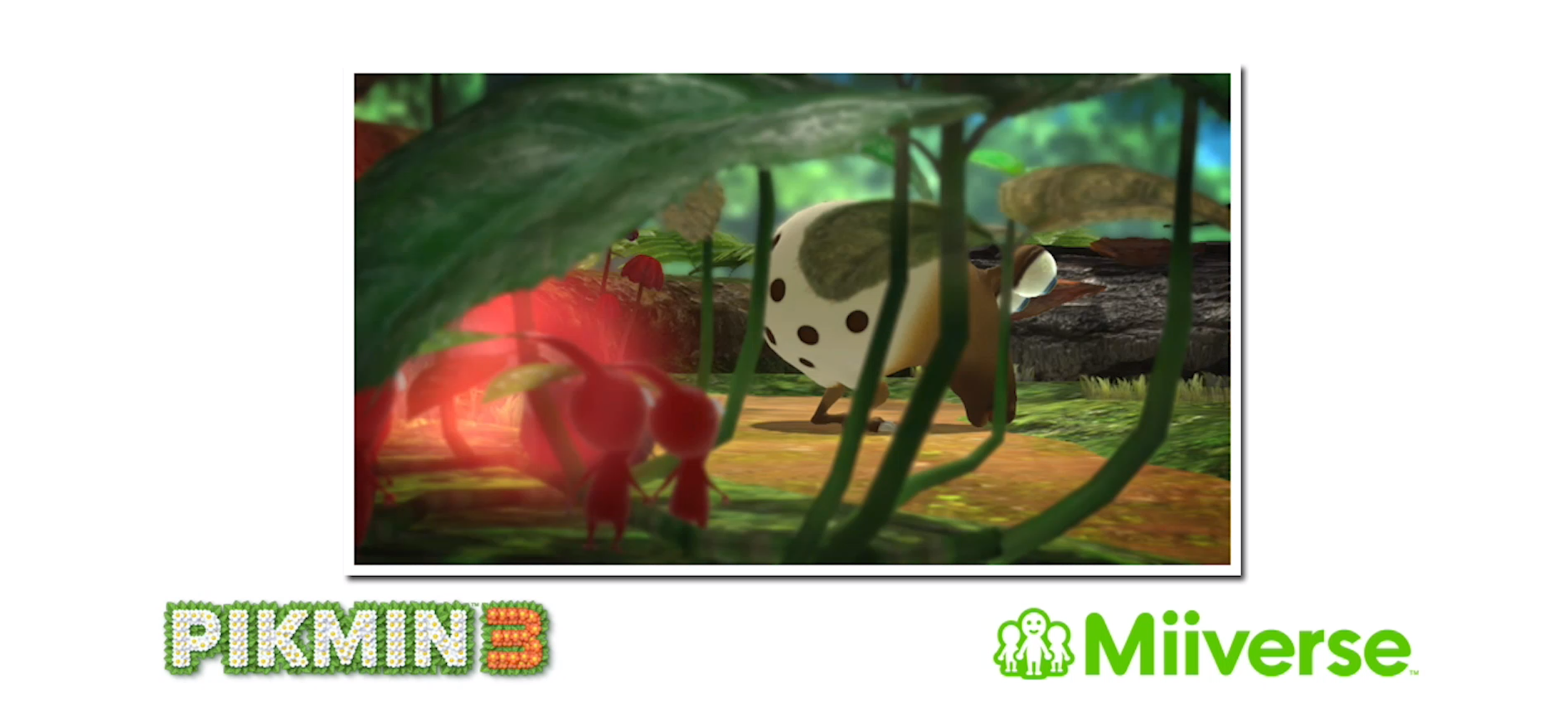 Wii Fit U and Pikmin 3 to feature Miiverse Integration