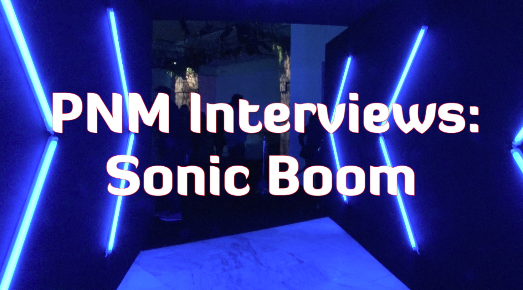 Pure Nintendo Interviews: Sonic Boom