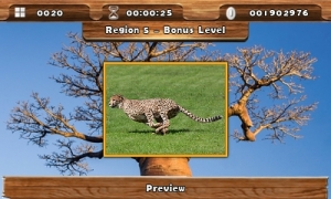Safari Quest bonus puzzle