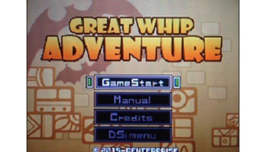 PN Review: G.G Series Great Whip Adventure (DSiWare)