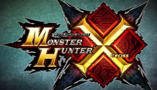 Check out this Monster Hunter X limited edition