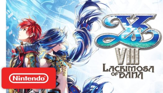 Review YS VIII: Lacrimosa of DANA (Nintendo Switch)