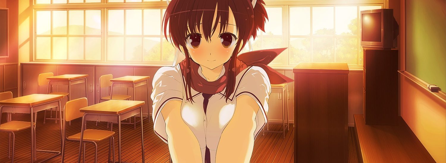 Senran Kagura Reflexions