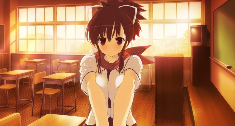 Senran Kagura Reflexions