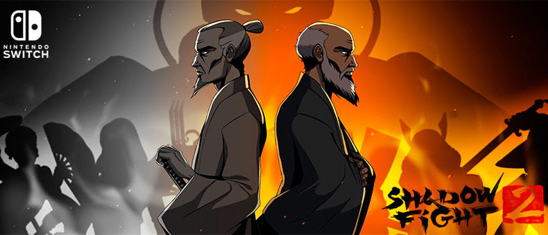 Shadow Fight 2