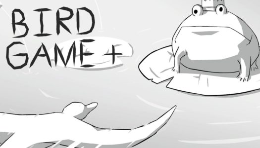 Review: Bird Game + (Nintendo Switch)