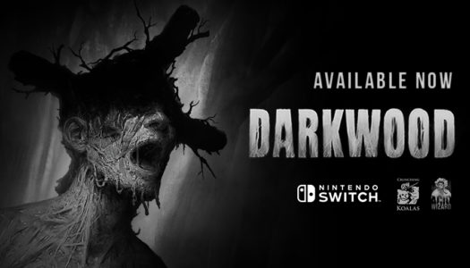 Survive the horrors of Darkwood on Nintendo Switch
