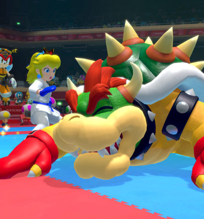 Peach VS. Bowser Karate