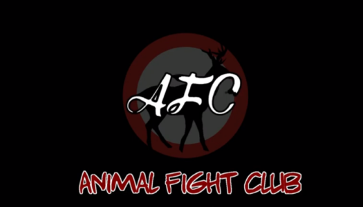 Review: Animal Fight Club (Nintendo Switch)