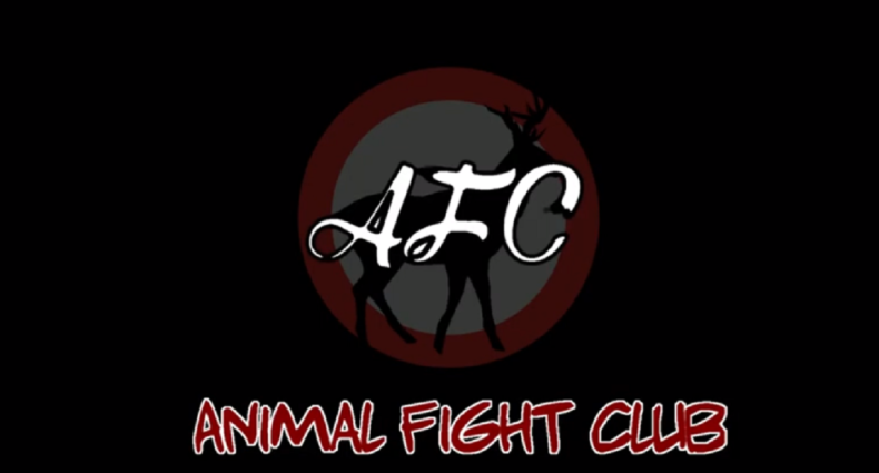 Animal Fight Club