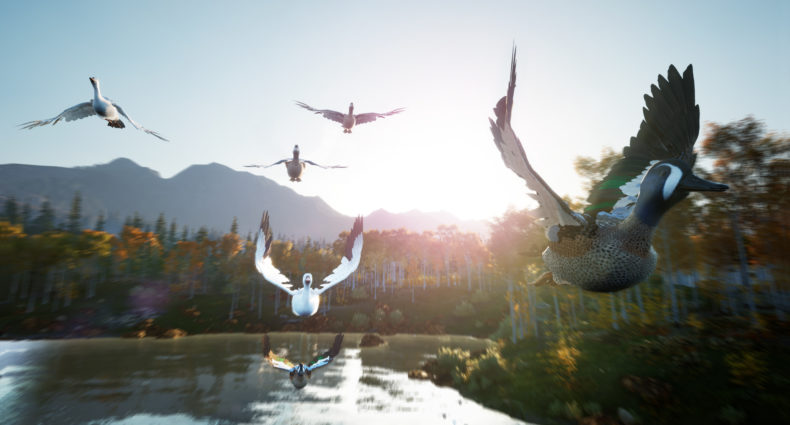 Hunting Simulator 2