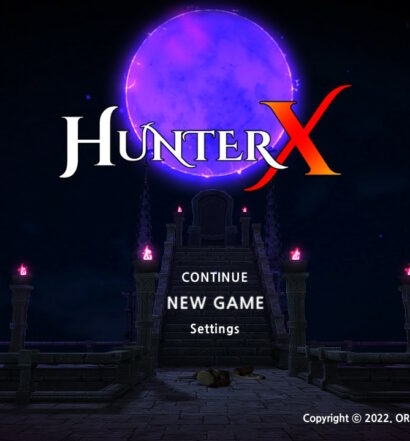 Nintendo Switch Review: HunterX | PureNintendo.com