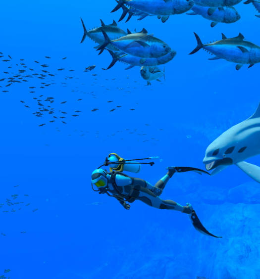 Endless Ocean Luminous - Nintendo Switch