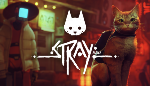 Review: Stray (Nintendo Switch)