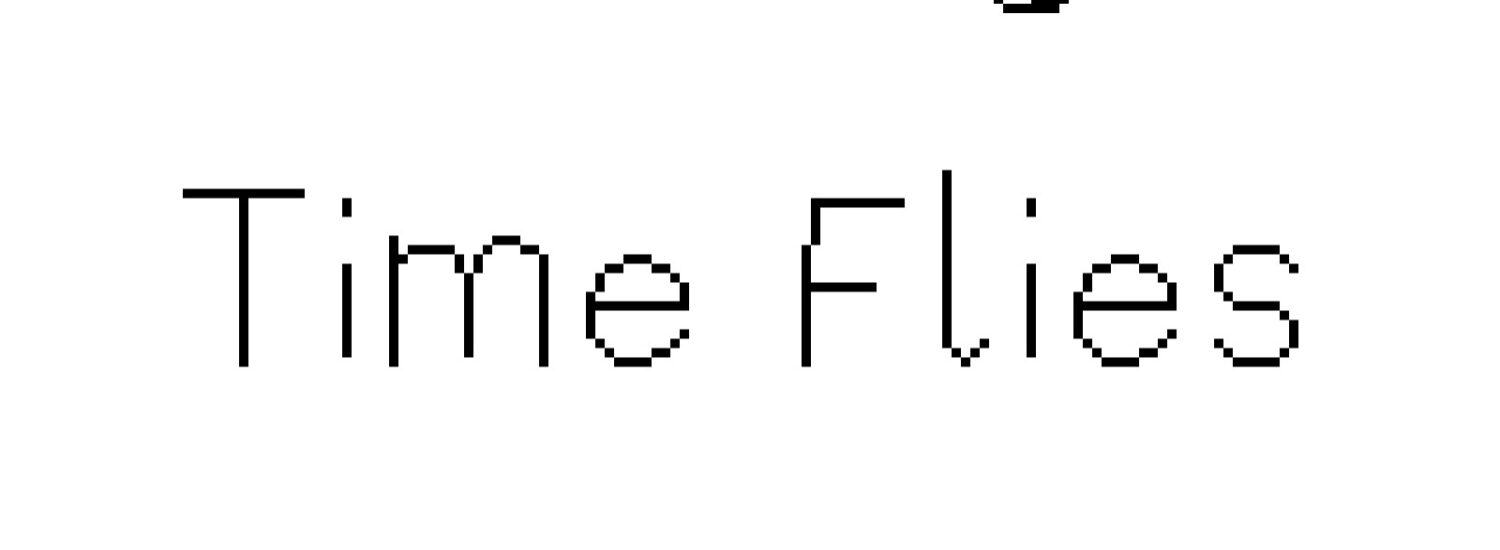 Time Flies - Nintendo Switch