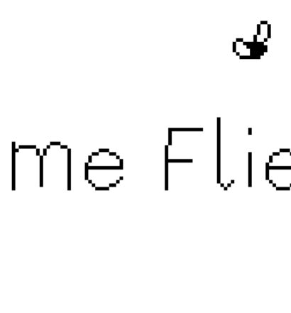 Time Flies - Nintendo Switch