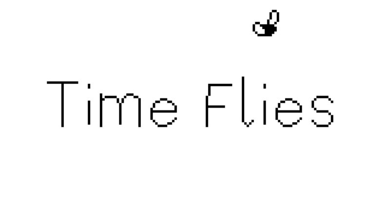 Time Flies - Nintendo Switch