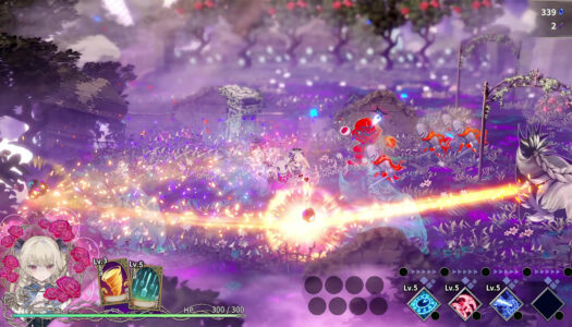 New CRY series entry, CRYMELIGHT, announced for Switch 2